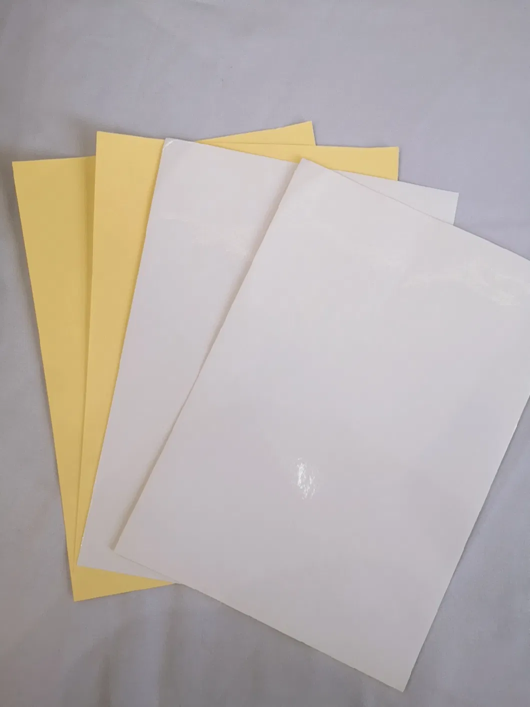 Hot Sales Self-Adhesive Paper in Sheets and Reels
